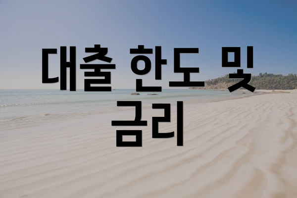 대출 한도 및 금리