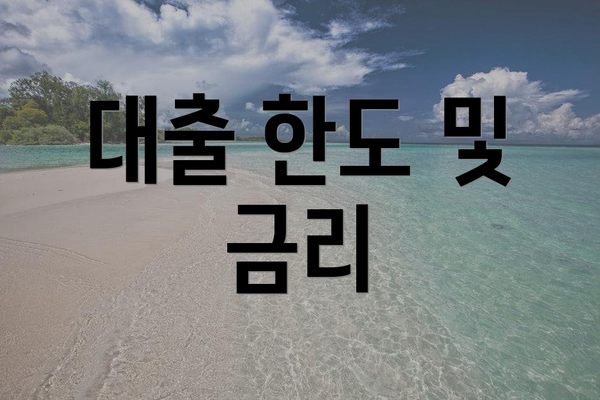 대출 한도 및 금리