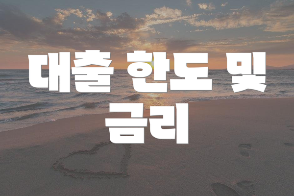 대출 한도 및 금리