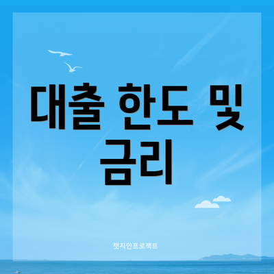 대출 한도 및 금리