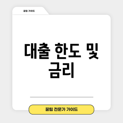 대출 한도 및 금리
