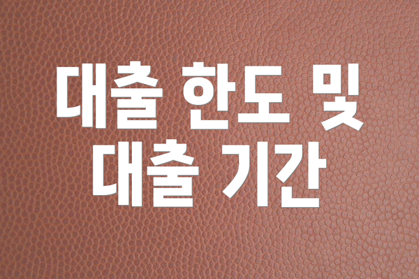 대출 한도 및 대출 기간