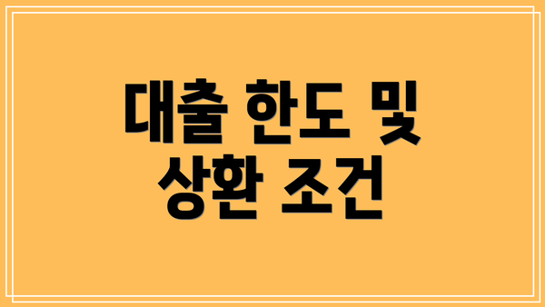 대출 한도 및 상환 조건