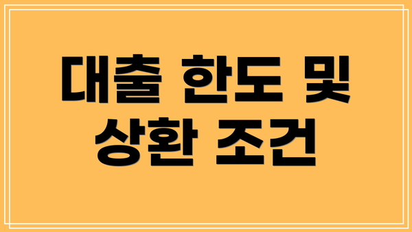 대출 한도 및 상환 조건