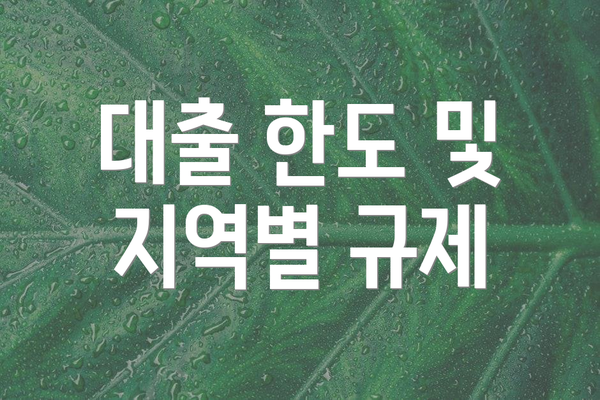 대출 한도 및 지역별 규제
