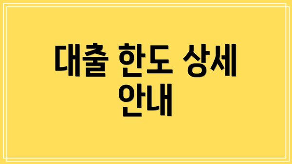 대출 한도 상세 안내