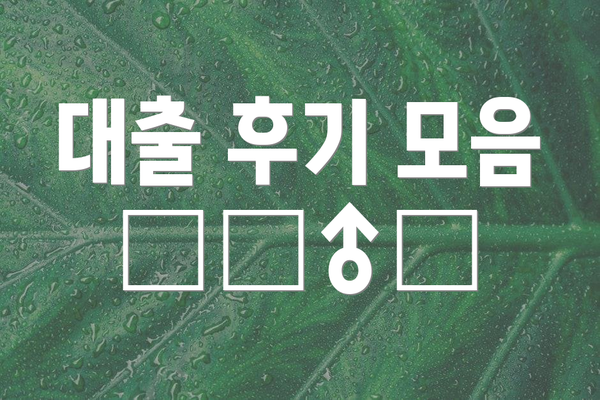 대출 후기 모음 🙋‍♂️