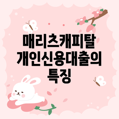 매리츠캐피탈 개인신용대출의 특징