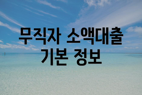 무직자 소액대출 기본 정보