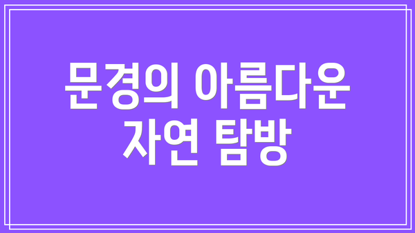 문경의 아름다운 자연 탐방