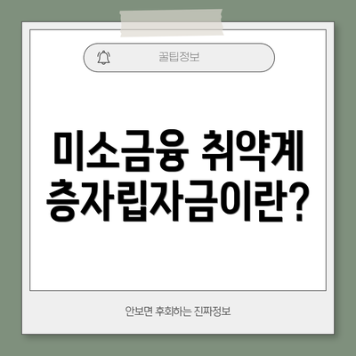 미소금융 취약계층자립자금이란?