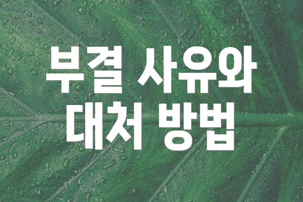 부결 사유와 대처 방법