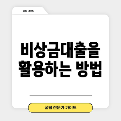 비상금대출을 활용하는 방법