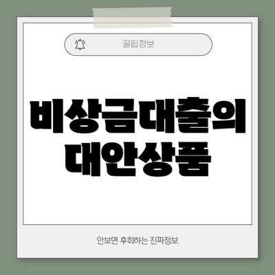 비상금대출의 대안상품