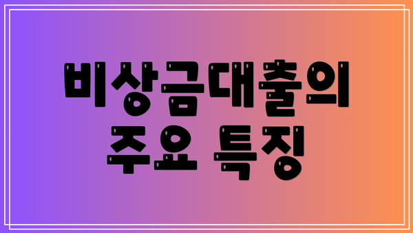 비상금대출의 주요 특징