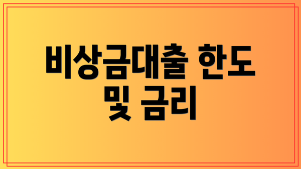 비상금대출 한도 및 금리