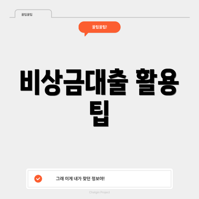 비상금대출 활용 팁