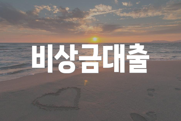 비상금대출