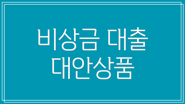 비상금 대출 대안상품