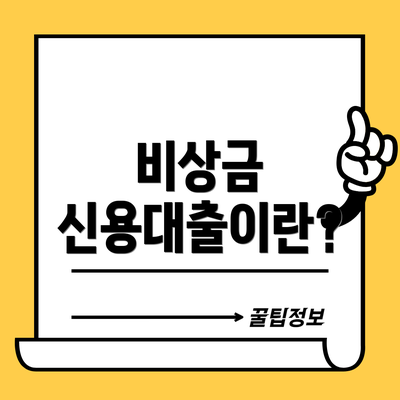 비상금 신용대출이란?