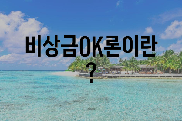 비상금OK론이란?