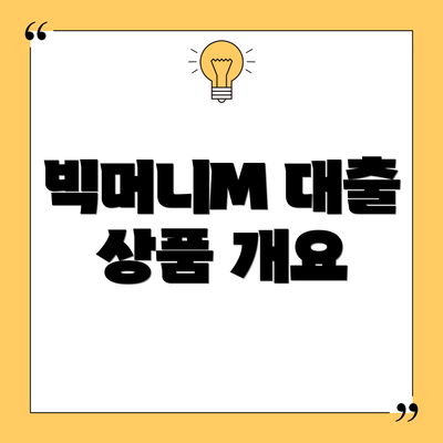 빅머니M 대출 상품 개요