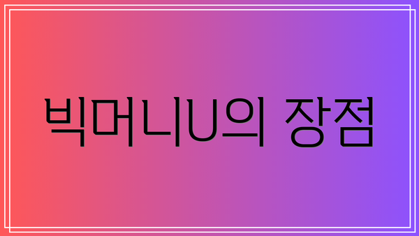 빅머니U의 장점