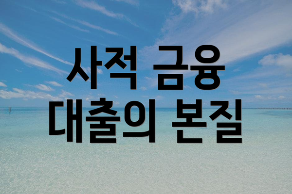 사적 금융 대출의 본질