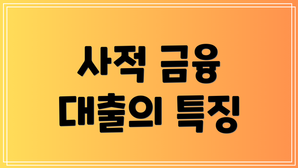 사적 금융 대출의 특징