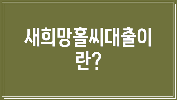 새희망홀씨대출이란?