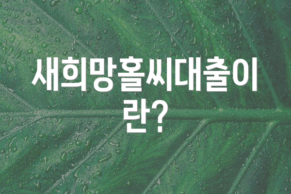 새희망홀씨대출이란?