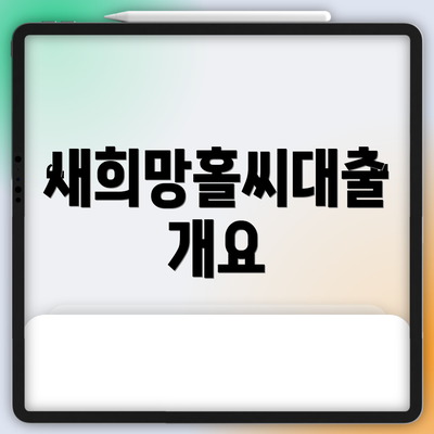 새희망홀씨대출 개요