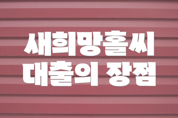새희망홀씨 대출의 장점