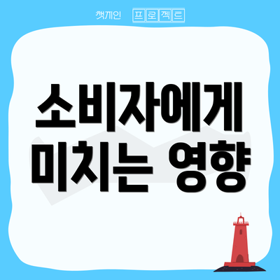 소비자에게 미치는 영향