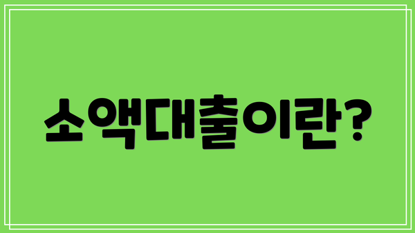 소액대출이란?