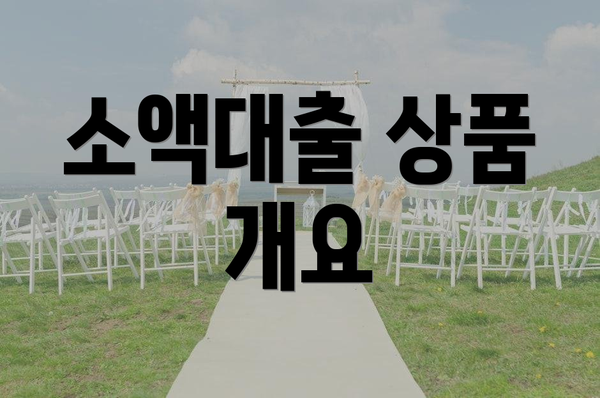 소액대출 상품 개요