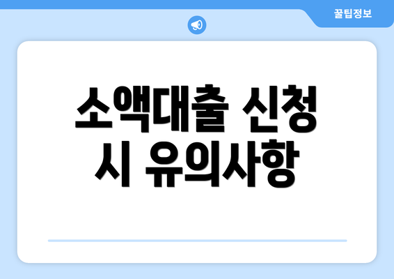 소액대출 신청 시 유의사항