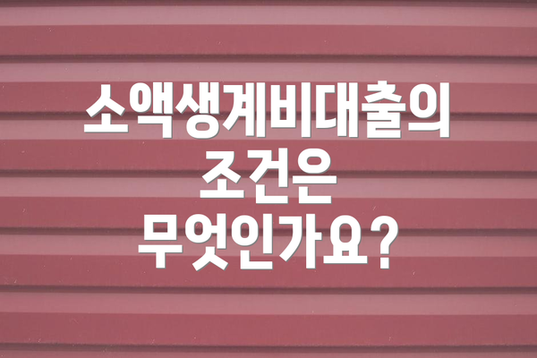 소액생계비대출의 조건은 무엇인가요?