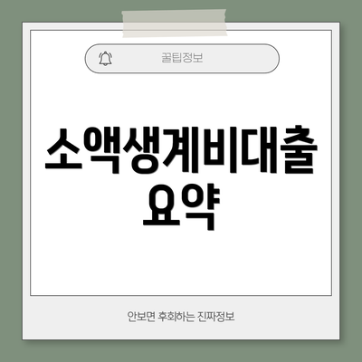 소액생계비대출 요약