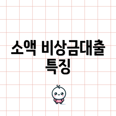 소액 비상금대출 특징