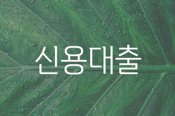 신용대출