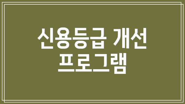 신용등급 개선 프로그램