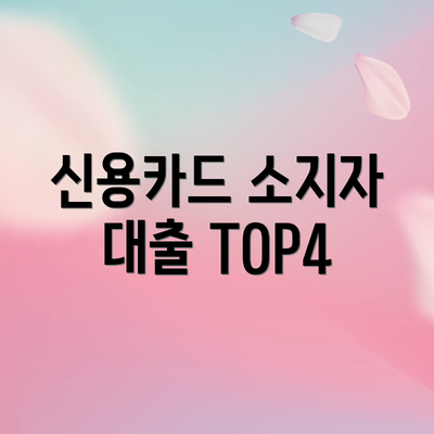 신용카드 소지자 대출 TOP4