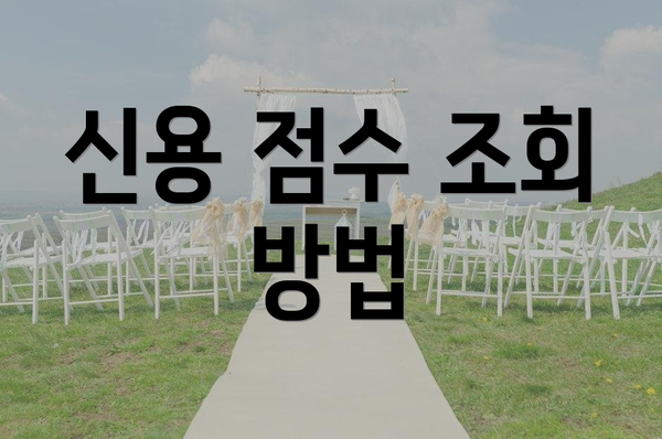 신용 점수 조회 방법
