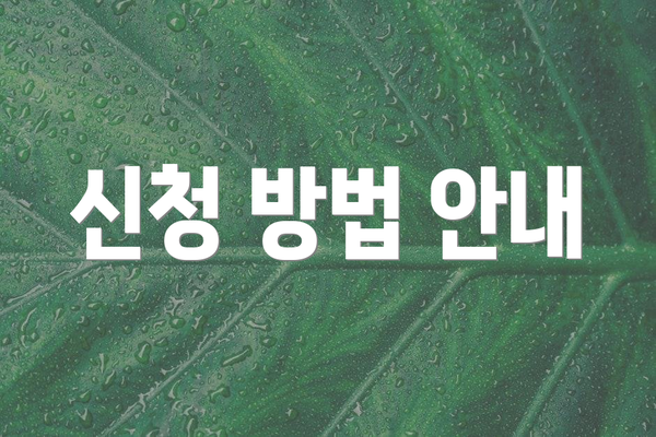 신청 방법 안내