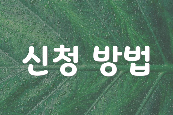 신청 방법