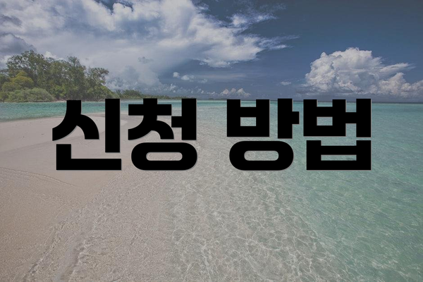신청 방법