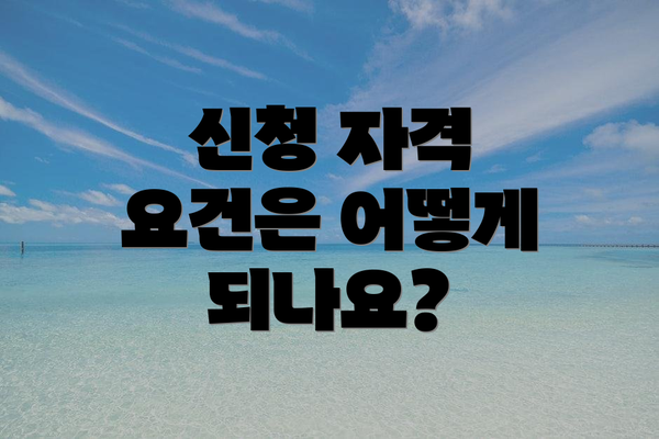 신청 자격 요건은 어떻게 되나요?