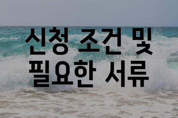 신청 조건 및 필요한 서류