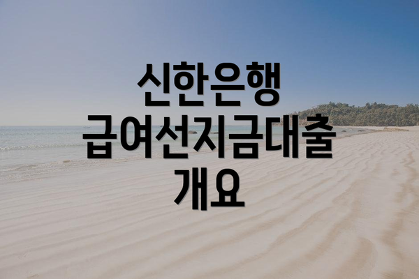신한은행 급여선지금대출 개요